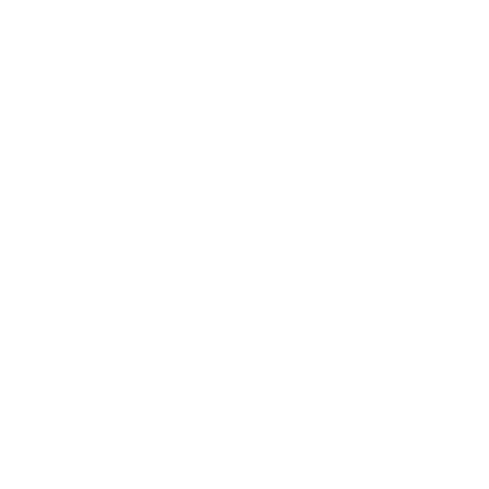 Anam Cara Logo White